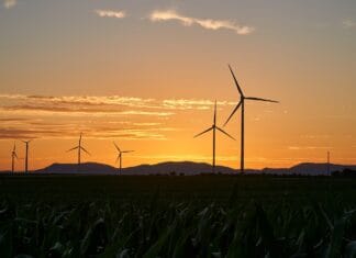 Nowoczesne rozwiązania w rozdzielnicach elektrycznych