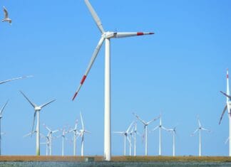 Jak wygląda serwis paneli fotowoltaicznych?