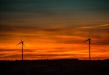 Test najnowszych smart żarówek – co warto kupić?