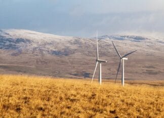 Recenzja systemu sterowania oświetleniem – krok po kroku