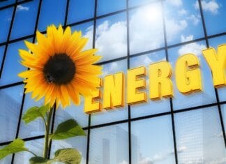 Czy fotowoltaika opłaca się zimą? Fakty i mity