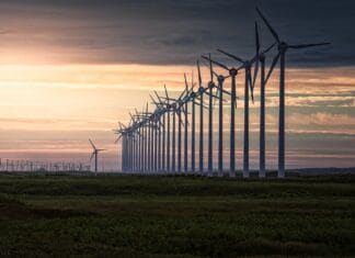 Czy warto kupić lampy solarne?